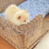 Ishela Rattan Pet Bed