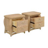 Mesa Lateral de Cama de Rattan com Dois Gavetas
